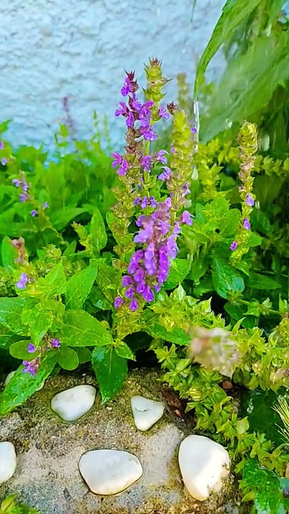 vivere nella natura #lifestyle #live #love #nature