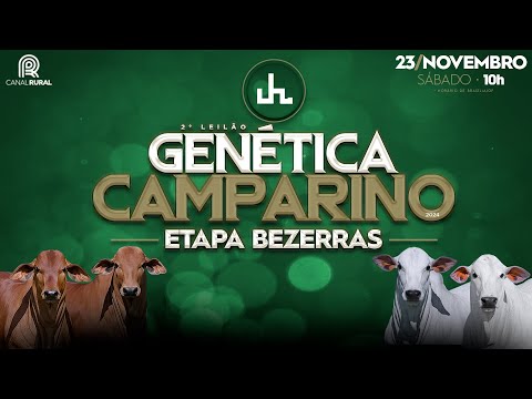 LOTE 242