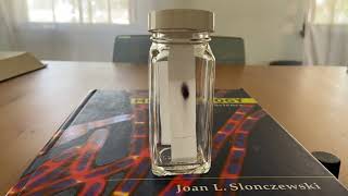 Capillary Effect Timelapse in Thin-layer Chromatography