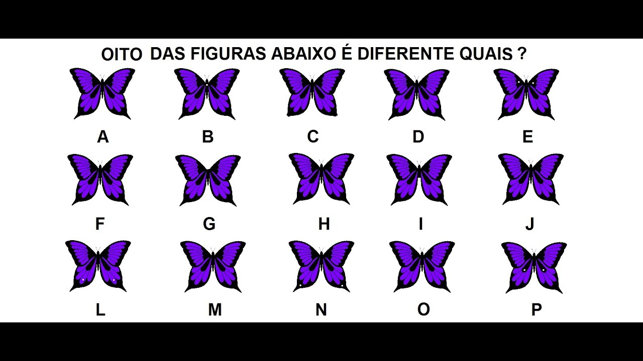 Teste exame psicotecnico