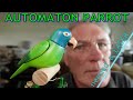 I found a use for my low power laser cutter i made a parrot automaton