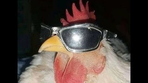 My trash attempt at Gmod Realism