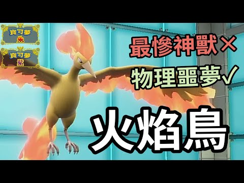 【寶可夢朱紫】寶可夢史上最慘神獸 別人打雷我學瞪眼 朱紫復活成為物理攻擊手噩夢 火焰鳥 #寶可夢 #寶可夢朱紫 寶可夢對戰系列 #78