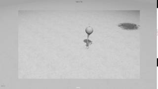 Soft Bodies Snowprints