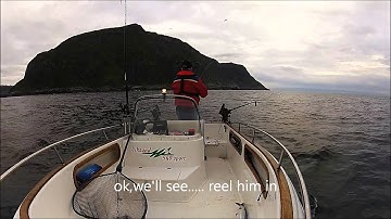 Pollac on the downrigger....