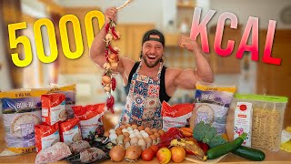 FULL DAY OF EATING - 5000 kcal für Muskelaufbau | Francesco Bonaccorso