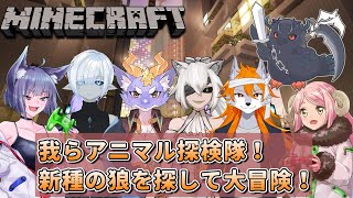 【#Minecraft】我らアニマル探検隊！新種のオオカミ＆アルマジロを探せ！【#コラボ配信 】