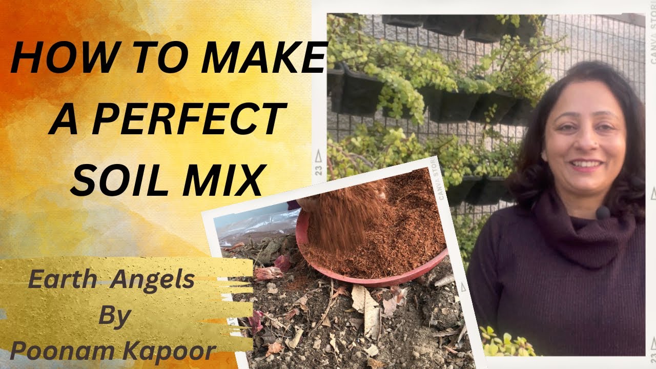 BEST POTTING SOIL MIX FOR ALL TYPES OF PLANTS HOW TO MAKE PERFECT SOIL