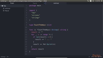 Begin Soln in Go–The Basic, Client & Server:Using Command-Line Flags| packtpub.com
