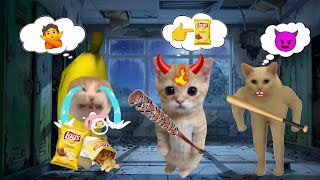 Banana cat crying not happy compilation 611 #babybananacat #happycat #catmemes #bananacat