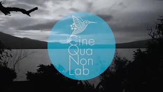 Script Revision Lab 2017