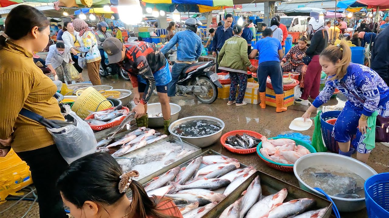 Inside Phnom Penh’s Wet & Wholesale Fish Market | Authentic Cambodian Market Scenes - Fish Market