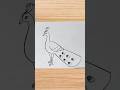 how to draw peacock drawing easy step by step