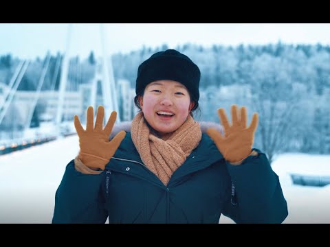 Introducing the University