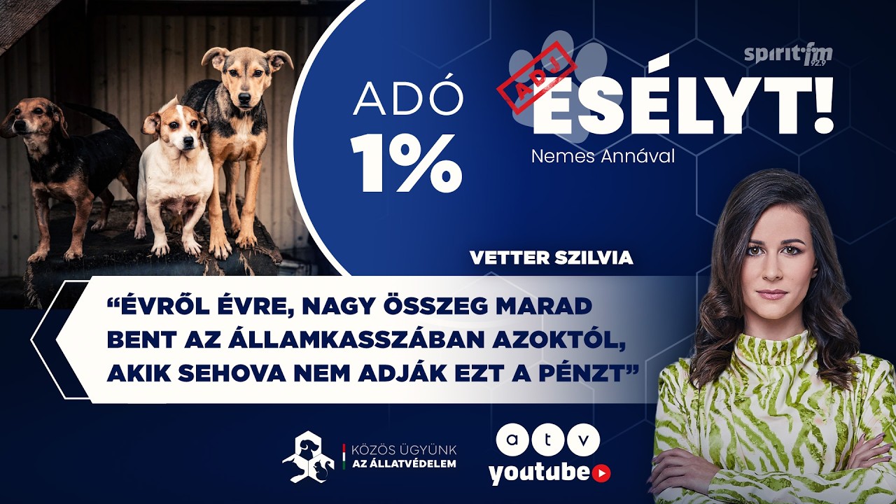 Egy százalék, ami életeket ment | ADJ ESÉLYT!