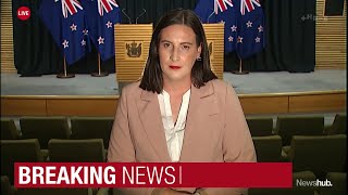 PM reconsidering Stuart Nash's future after allegations he shared confidential discussions | Newshub