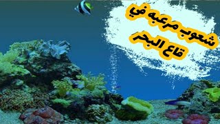 رحلة إلى قاع البحر