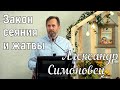 Закон сеяния и жатвы - Александр Симоновец - проповедь