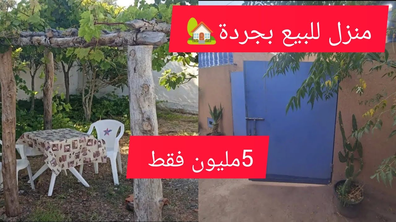 منزل للبيع بجردة✨ فقط 5 مليون سنتيم 😱 مجهز بالماء والكهرباء همزة رائعة وحصرية للبيع 5 مليون سنتيم 😱😱