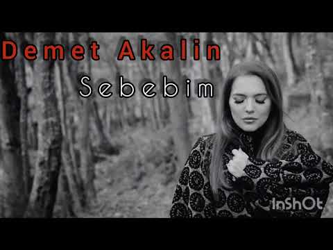 Demet akalın - Sebebim (lyrics Video)