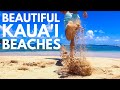 Have You Been To These Kauai Beaches? | Top 10 Kauai, Hawaii Beaches