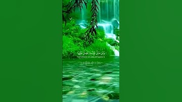من اهتدى فإنما يهتدي لنفسه #سورة الإسراء #القرآن الكريم #جوهرة القرآن