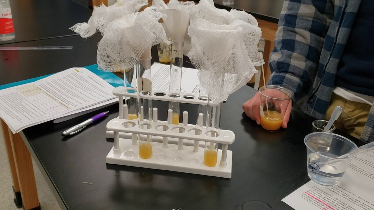Exploring With Pectinase Lab YouTube