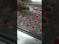 Manual Strawberry Jam Filling Machine Handheld Fruit Jam Injector For Jelly & Dessert Molds #filling
