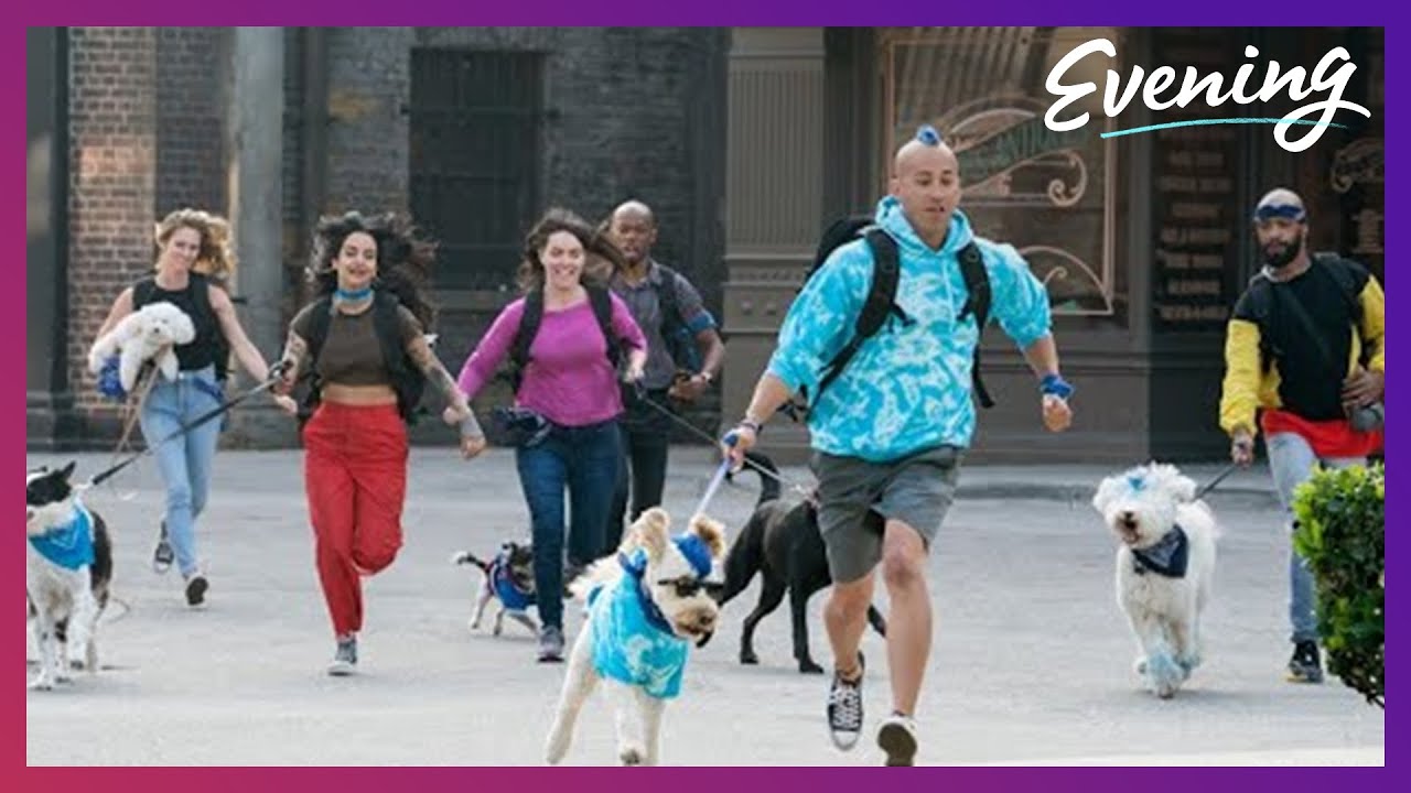 Meet the four-legged contestants in reality competition 'The Pack'