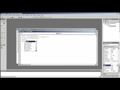 Visual Basic 6.0 - Şifreli Giriş