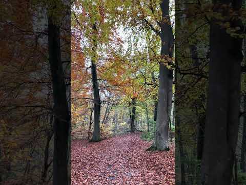 شيئان يدمران الإنسان الإنشغال بالماضي والإنشغال بالآخرين