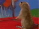 Dramatic Sparta Hamster