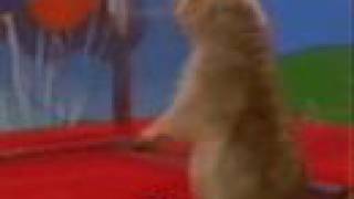 Dramatic Sparta Hamster