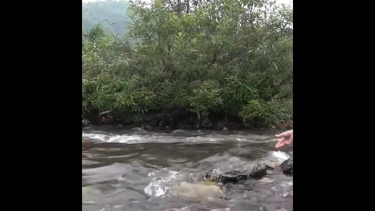 Exciting Fishing with a Large Pump | Catching Tons of Fish & Big Catfish