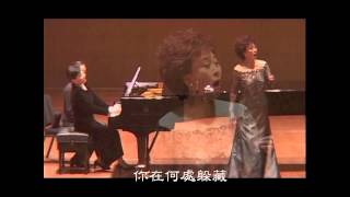 Video voorbeeld van "范宇文演唱 在銀色的月光下"