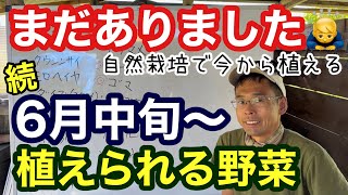 続・6月中に植えられる自然栽培•家庭菜園にお勧めの野菜《無農薬/無肥料》