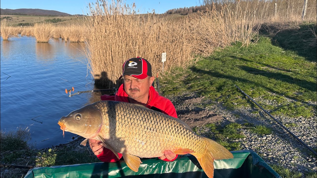 Sanpaul again!Cum si cu ce sa nadim la crap mare!