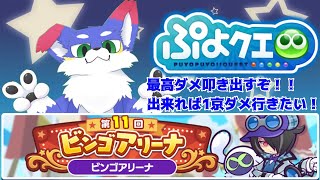 【ぷよクエ/第11回ビンゴアリーナ攻略】　ガンガンダメを稼ぐぞ！！