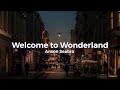 Anson Seabra - Welcome to Wonderland (lyrics)