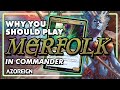 Why you should play merfolk in commander  mtg edh magic the gathering 