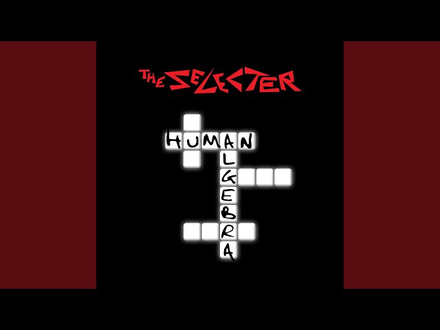 The Selecter - Stop Them