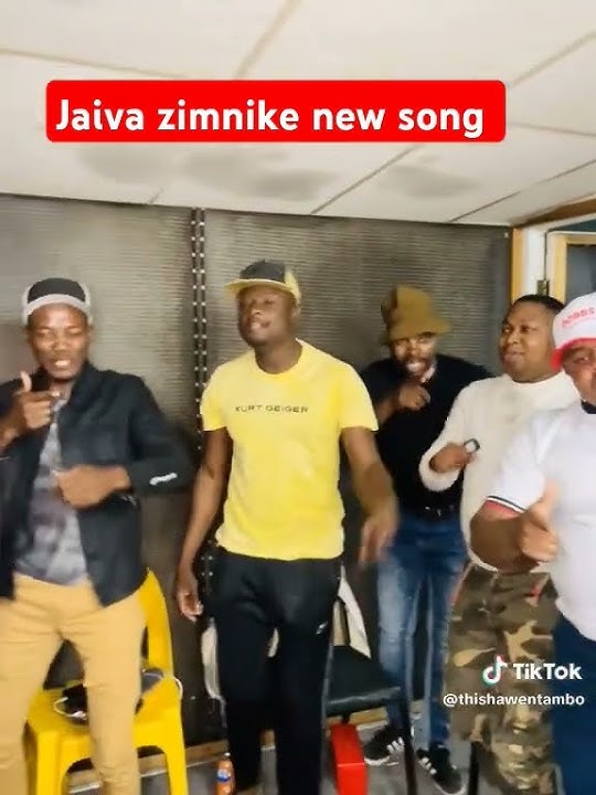 new album for jaiva zimnike