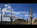 Saguaro - Wasson Peak in Snow!