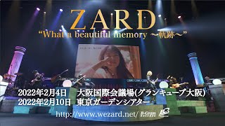 ★レア★ZARD★坂井泉水★メモリアルリングチャーム★ mqdefault.jpg