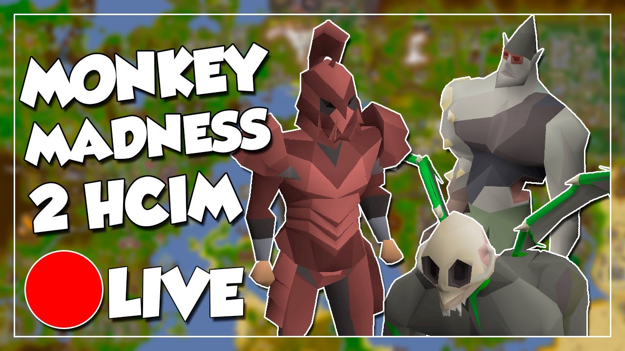 [🔴LIVE] HCIM MONKEY MADNESS 2
