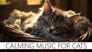 This Music will make your cat a GENIUS 🎵🧠💡😺⭐🤓❤️😄