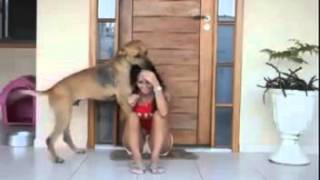 DownloadTouching Video of a Rescued Dog Shows his Gratitude! MP3 MP4 Touching Video of a Rescued Dog Shows his Gratitude!