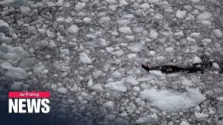 Temperature in Antarctica hits 20.75°C on Feb. 9; hottest on record