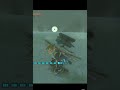 How big can snowballs get in TOTK??? #zelda #nintendo #totk #gaming #tearsofthekingdom