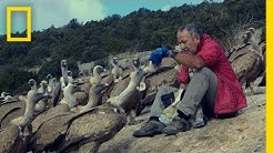 The Vultures This Man Loves May Soon Disappear | National Geographic
